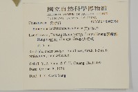 交趾衛矛藏品圖，第2張