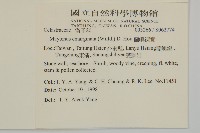 蘭嶼裸實藏品圖，第2張