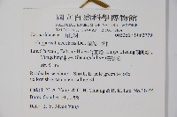 蘭嶼山柑藏品圖，第2張