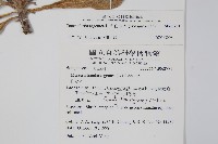 白水木藏品圖，第2張