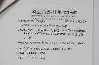 臺東漆樹藏品圖，第2張