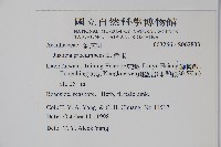 爵床藏品圖，第2張