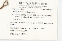 牡蒿藏品圖，第2張