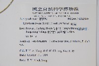 鷗蔓藏品圖，第2張