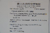 珊瑚樹藏品圖，第2張