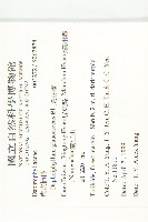 虎皮楠藏品圖，第2張