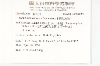 星果佛甲草藏品圖，第2張