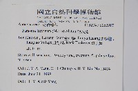 爬森藤藏品圖，第2張