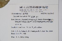 蘭嶼山柑藏品圖，第2張