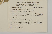 變葉藜藏品圖，第2張