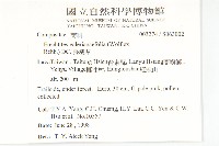 飛機草藏品圖，第5張