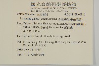 草珊瑚、紅果金粟蘭藏品圖，第2張