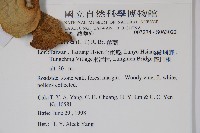 毬蘭藏品圖，第2張