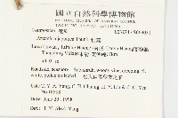 牡蒿藏品圖，第2張