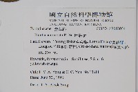 厚殼樹藏品圖，第2張