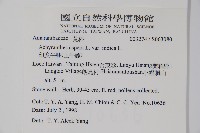 印度牛膝、土牛藤藏品圖，第5張