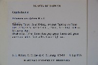 小葉莢迷藏品圖，第2張