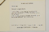 刺果衛矛藏品圖，第2張