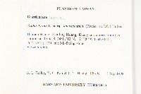 玉山筷子芥藏品圖，第2張