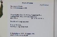 鐵冬青藏品圖，第2張