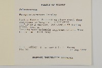 厚葉衛矛, 源一木藏品圖，第2張