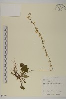 臺灣鬼督郵藏品圖，第1張