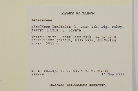 臺灣鬼督郵藏品圖，第2張