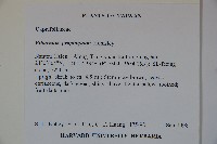 高山莢迷藏品圖，第2張