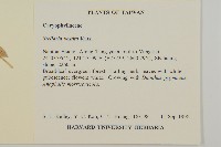 疏花繁縷藏品圖，第2張