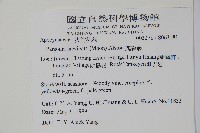 爬森藤藏品圖，第2張