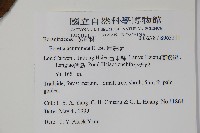 厚殼樹藏品圖，第2張