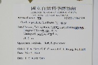 假川牛膝藏品圖，第2張