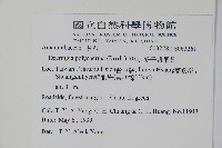 多子漿果莧藏品圖，第2張