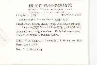 蘭嶼木耳菜藏品圖，第2張