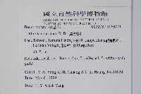 厚殼樹藏品圖，第5張