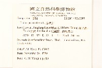 長柄菊藏品圖，第2張