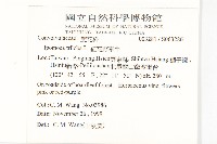 紅花野牽牛藏品圖，第2張