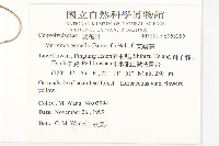 菜欒藤藏品圖，第2張