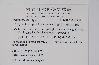 印度牛膝、土牛藤藏品圖，第2張