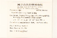 金腰箭藏品圖，第2張