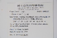 向天黃藏品圖，第2張