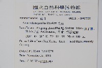 青莧藏品圖，第2張