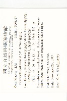 雙輪瓜藏品圖，第2張