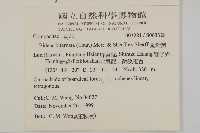 鬼針舅藏品圖，第2張