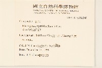 小舌菊、蔓綿菜藏品圖，第2張