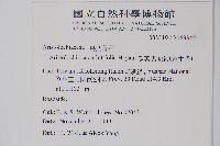 瓜葉馬兜鈴、青木香藏品圖，第2張