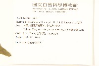 刀傷草藏品圖，第2張