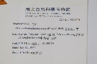 空心蓮子草藏品圖，第2張