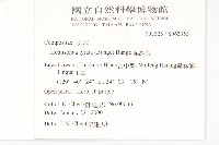 泥胡菜藏品圖，第2張