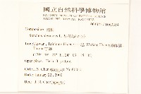 苦滇菜、苦菜藏品圖，第2張